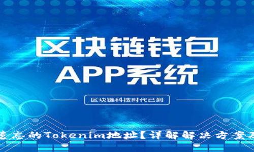 如何找回遗忘的Tokenim地址？详解解决方案及相关问题