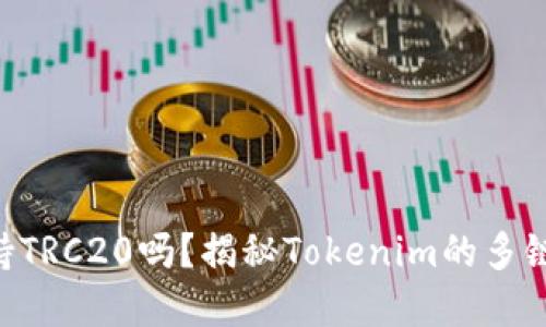 Tokenim支持TRC20吗？揭秘Tokenim的多链支持和优势
