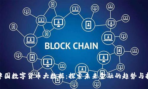 : 中国数字货币大数据：探索未来金融的趋势与挑战