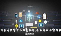 如何查看数字货币钱包轨迹：全面解析与实用指