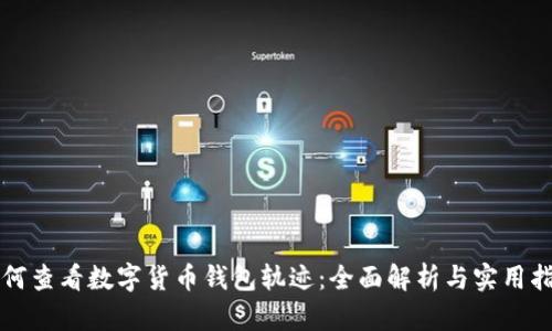 如何查看数字货币钱包轨迹：全面解析与实用指南
