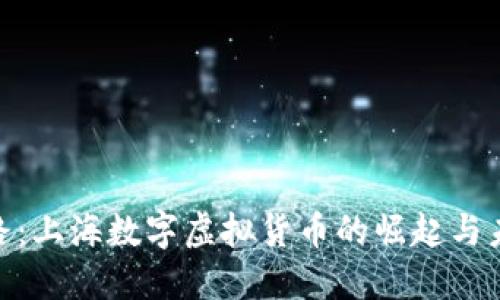 王者之路：上海数字虚拟货币的崛起与未来机遇 