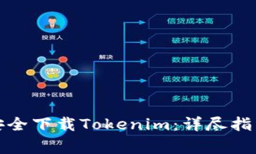 如何在国内安全下载Tokenim：详尽指南与注意事项