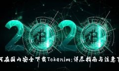 如何在国内安全下载Toke