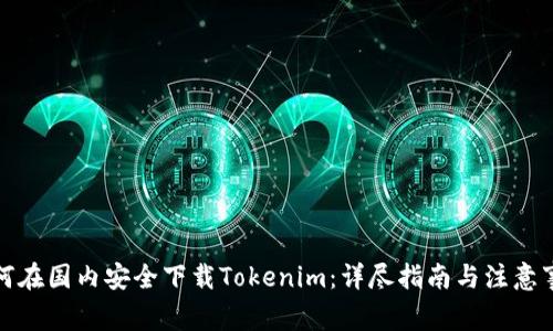 如何在国内安全下载Tokenim：详尽指南与注意事项