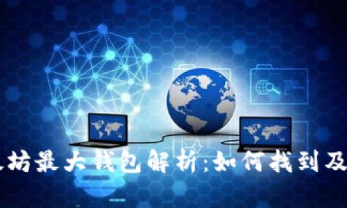 以太坊最大钱包解析：如何找到及使用