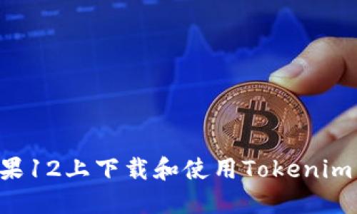 如何在苹果12上下载和使用Tokenim：全面指南