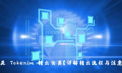 什么是 Tokenim 转出交易？详解转出流程与注意事项