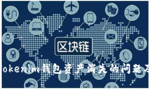 如何找回Tokenim钱包资产消失的问题及解决方法
